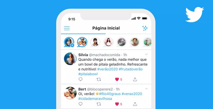 Twitter Fleets